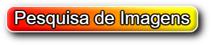 Busca de Imagens