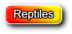 Reptiles