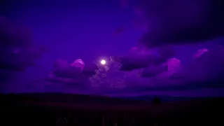 AR0WW7FE.png